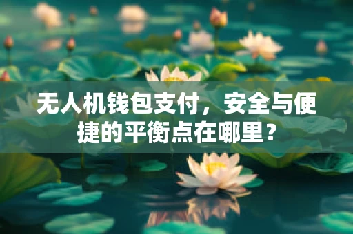 无人机钱包支付，安全与便捷的平衡点在哪里？