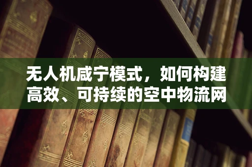 无人机咸宁模式，如何构建高效、可持续的空中物流网络？