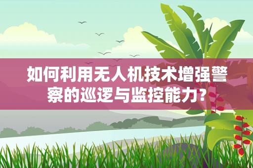 如何利用无人机技术增强警察的巡逻与监控能力？