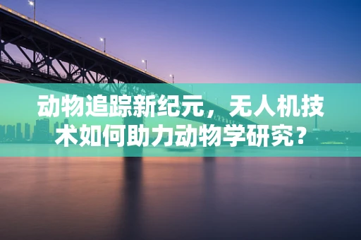 动物追踪新纪元，无人机技术如何助力动物学研究？