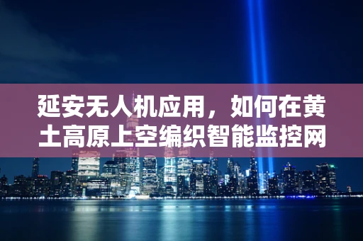 延安无人机应用，如何在黄土高原上空编织智能监控网？