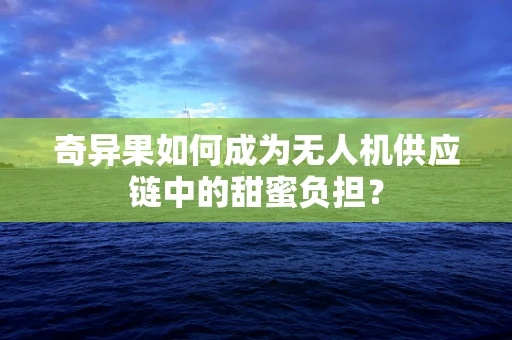 奇异果如何成为无人机供应链中的甜蜜负担？