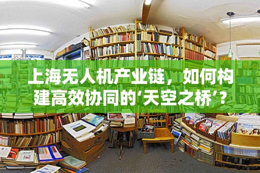 上海无人机产业链，如何构建高效协同的‘天空之桥’？