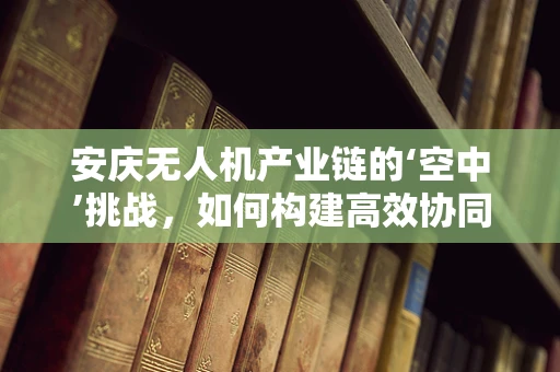 安庆无人机产业链的‘空中’挑战，如何构建高效协同的供应链？