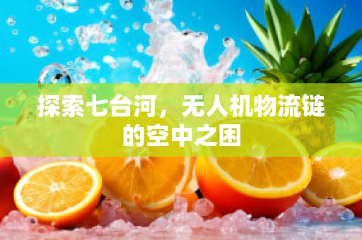 探索七台河，无人机物流链的空中之困