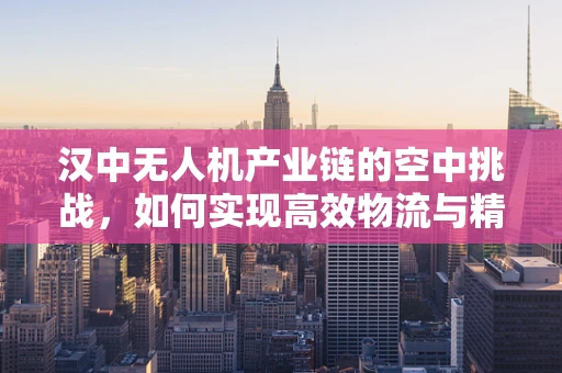 汉中无人机产业链的空中挑战，如何实现高效物流与精准农业的融合？