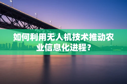 如何利用无人机技术推动农业信息化进程？