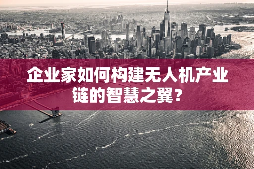 企业家如何构建无人机产业链的智慧之翼？