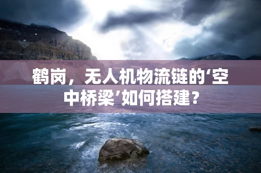 鹤岗，无人机物流链的‘空中桥梁’如何搭建？