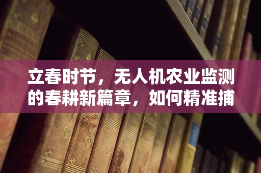 立春时节，无人机农业监测的春耕新篇章，如何精准捕捉作物生长的‘春意’？