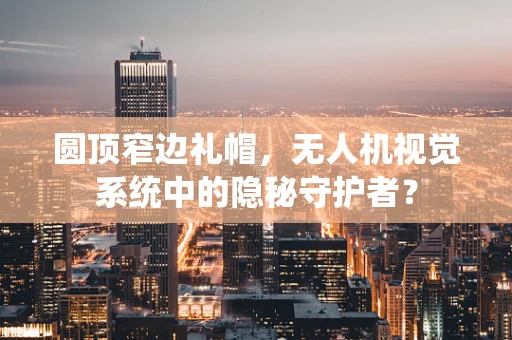 圆顶窄边礼帽，无人机视觉系统中的隐秘守护者？