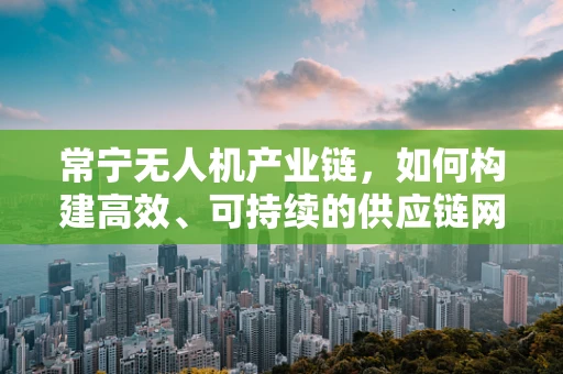 常宁无人机产业链，如何构建高效、可持续的供应链网络？