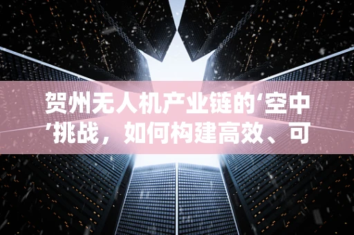 贺州无人机产业链的‘空中’挑战，如何构建高效、可持续的无人机生态系统？