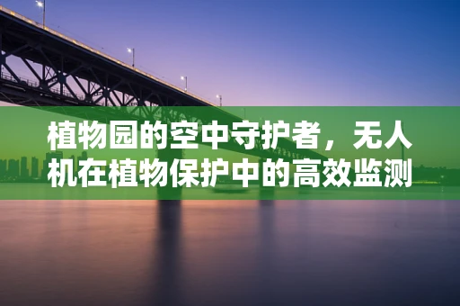 植物园的空中守护者，无人机在植物保护中的高效监测策略？