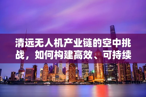 清远无人机产业链的空中挑战，如何构建高效、可持续的供应链？