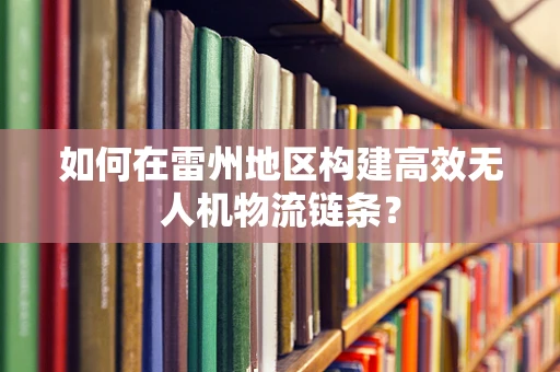 如何在雷州地区构建高效无人机物流链条？