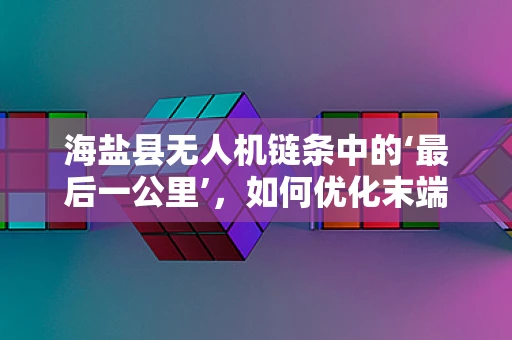 海盐县无人机链条中的‘最后一公里’，如何优化末端配送效率？