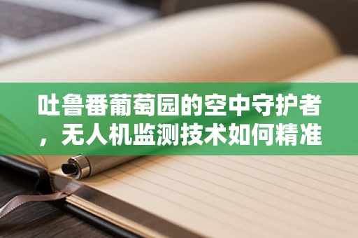 吐鲁番葡萄园的空中守护者，无人机监测技术如何精准护航？