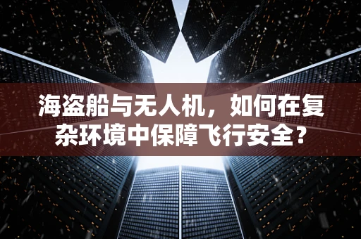 海盗船与无人机，如何在复杂环境中保障飞行安全？