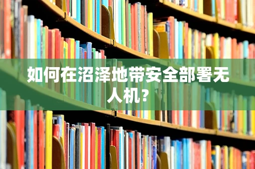 如何在沼泽地带安全部署无人机？