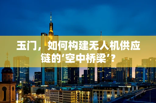 玉门，如何构建无人机供应链的‘空中桥梁’？