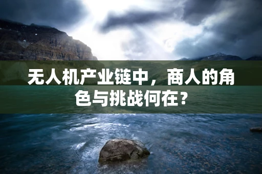 无人机产业链中，商人的角色与挑战何在？