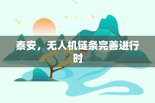 泰安，无人机链条完善进行时