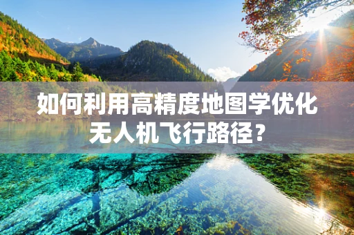 如何利用高精度地图学优化无人机飞行路径？